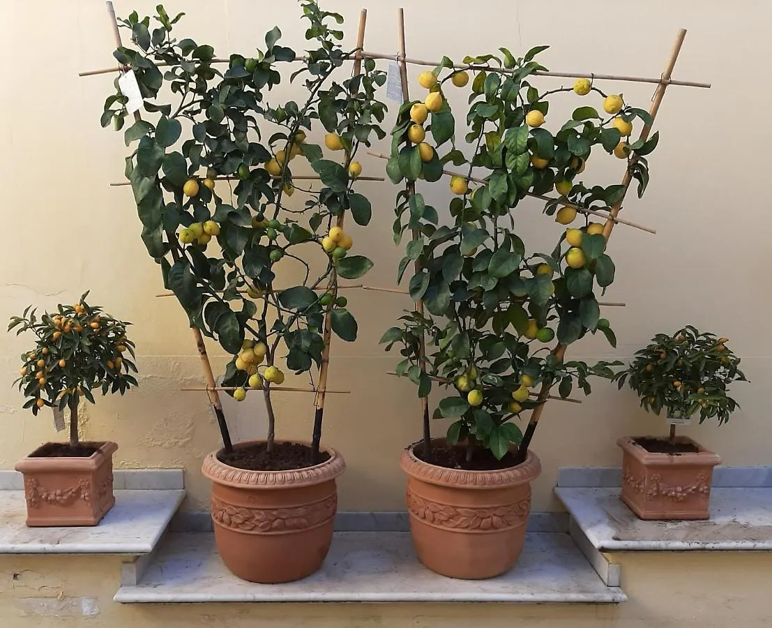 Loft La Corte Apartment Pietrasanta Italy